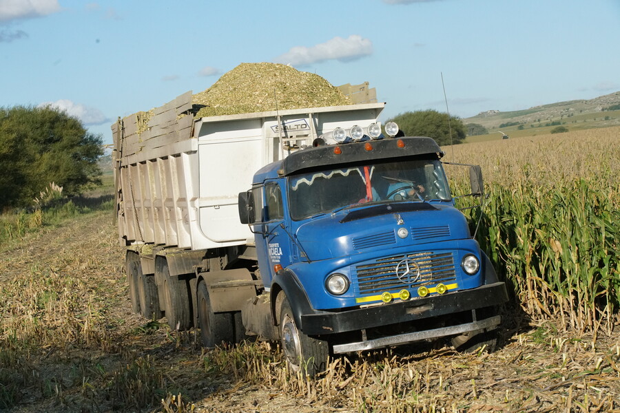 Landwirtschaft in Argentinien_08.JPG